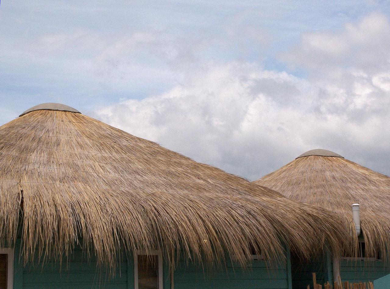 Casa Papaya Punta Del Diablo Exterior foto